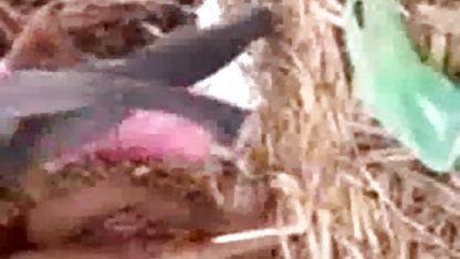 एयरबैग के साथ नया मोटरसाइकिल मॉडल हिंदी में बीएफ सेक्सी फिल्म