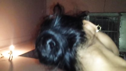 अश्लील फोटो एक्सचेंज ब्लू पिक्चर दिखाइए हिंदी में सेक्सी के लिए प्रेमी