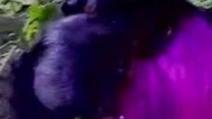 मसाला के साथ आंतरिक सह सेक्सी पिक्चर हिंदी में इंग्लिश पिक्चर शॉट