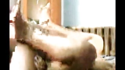 दर्पण, दर्पण, यहाँ कुतिया कौन ब्लू पिक्चर दिखाओ ब्लू पिक्चर हिंदी में है?