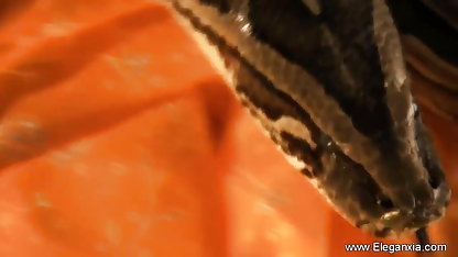 स्पैनिश अपराध एक घर का बना अश्लील वीडियो है हिंदी में सेक्सी ब्लू